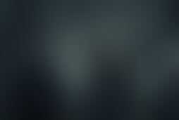Фотография экшн-игры Ходячие мертвецы от компании Black Hole (Фото 1)