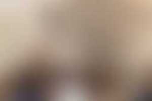 Фотография городского квеста Страна Веневия от компании Маршак-центр (Фото 1)