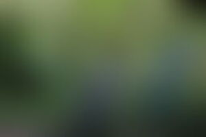 Фотография экшн-игры Цивилизация от компании Вечеринка (Фото 1)