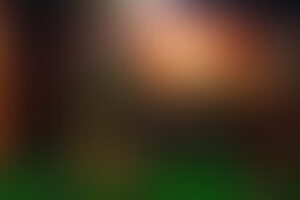 Фотография квеста-анимации По следам индейцев майя от компании Квест-дом (Фото 1)