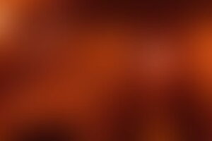 Фотография квеста-анимации По следам индейцев майя от компании Квест-дом (Фото 2)