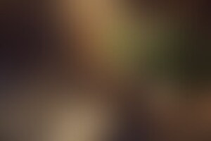 Фотография VR-квеста Delete18354 от компании Delete (Фото 4)