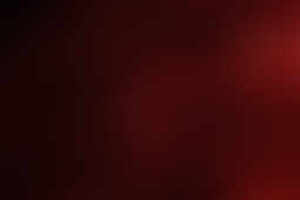 Фотография квеста Темная сторона от компании Proquest (Фото 3)