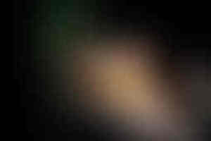 Фотография квеста Искусственный интеллект от компании Пуаро (Фото 3)