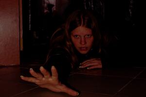 Фотография квеста Хижина маньяка от компании Screamer Quest (Фото 1)