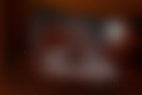 Квест «На ощупь» от Пуаро