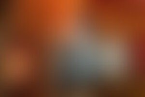 Фотография квеста Гарри от компании Пуаро (Фото 1)