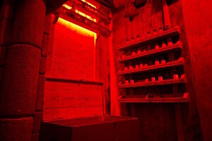 Фотография квеста Гарри от компании Пуаро (Фото 2)