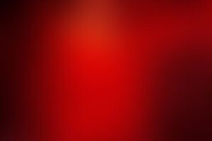 Фотография квеста Гарри от компании Пуаро (Фото 2)