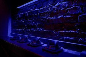 Фотография квеста Гарри от компании Пуаро (Фото 3)