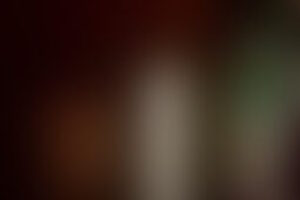 Фотография квеста Гарри от компании Пуаро (Фото 4)