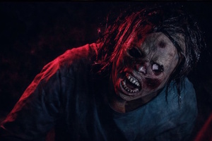 Фотография перформанса Астрал: субстанция от компании Horror Quest (Фото 2)