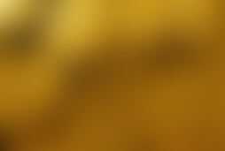 Фотография экшн-игры Золотая лихорадка от компании Квест-шоу (Фото 1)