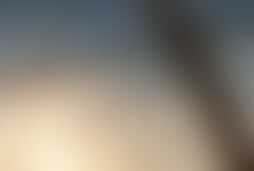 Фотография квеста Восточный гамбит от компании ЭДИСОН (Фото 1)